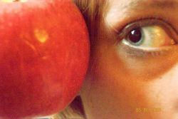 아리스토텔레스의 빨간 사과