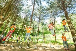 양천구, `도심 속 자연 놀이터` 유아숲체험원 6개소 본격 운영