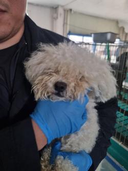 ‘반려마루 화성’에서 3,333번째 입양가족 탄생