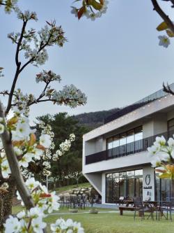 배 과수원 카페 오차드힐, 배꽃사진전 개최