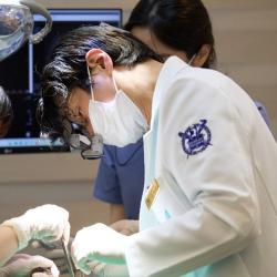 전체 임플란트 접근, 전악 치료에서 올온엑스 활용 이유