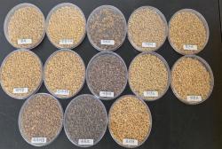 경기도, 2025년산 토종 벼·콩·팥 종자 580kg 공급