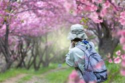 부산 공원, 시민의 렌즈로 기록한다…드론 촬영까지 첫 도입