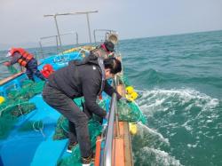 옹진군, 수산자원 회복 위해 `전복 종자` 19만 마리 방류