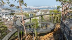 발 아래는 푸른 숲, 눈앞에는 한강뷰…양천구, 용왕산 224ｍ `스카이워크` 개방