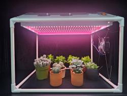 경기도농업기술원, ‘가정용 다육식물 재배기’ 개발. 실내 햇빛·환기 부족 문제 해결