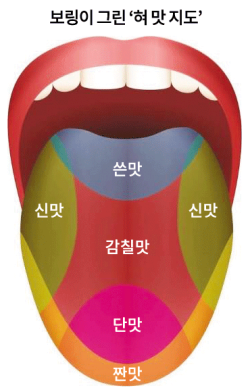 권위가 만든 착각