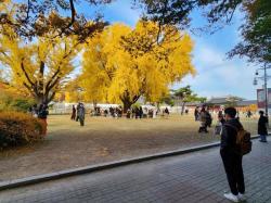 국립고궁박물관, 야외 결혼식 28쌍 선정…293쌍 지원에 규모 확대