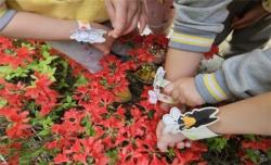 인천시교육청, 국립생물자원관 손잡고 `유아 생물다양성교육` 자료 배부