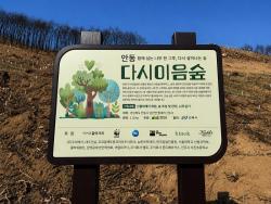 키엘 ‘다시이음숲’ 복원 참여…안동 산불 피해지 1천만 원 기부
