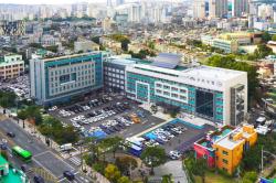 구로구, 어르신·장애인 1,000명에 반려식물 무료 보급…6월부터 운영