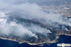 지진 이어 대형 산불까지… 일본 이와테현, 연이은 재난에 주민 긴급 대피