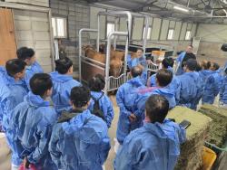 경기도, 다수 송아지 생산 가능한 한우 OPU수정란 전문가 양성교육 실시