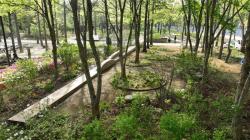 경기도, 서울국제정원박람회장에 ‘경기도 교류정원’ 조성. 5월 1일 공개