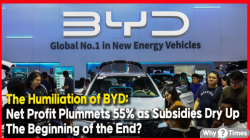 [China Watch] The Humiliation of BYD: Net Profit Plummets 55% as Subsidies Dry Up—The Beginning of the End?