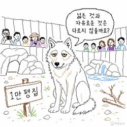 [하찮은 만평] 늑구의 1만 평 집