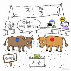 [하찮은 만평] 청도 소싸움, 전통은 누구를 위한 건가요