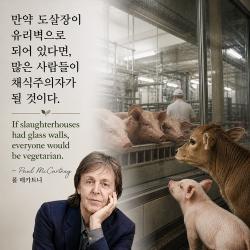 [카드뉴스] 비건단체들, 사진 명언으로 채식 메시지 소개