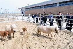 경기도 말 복지 휴양목장 개소식