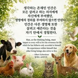 [카드뉴스] 비건단체들, 채식 명언 2부 공개
