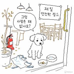 [하찮은 만평] 용산 횟집 강아지 방치 논란, 그럼 사람은 왜 없나요