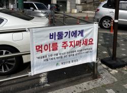 계양구, `유해 집비둘기 먹이주기 금지` 홍보 강화