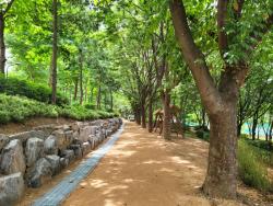 경기도, 용인 고기근린공원 등 노후 도시숲 13곳 리모델링 추진