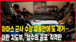 [Why Times 정세분석 3982] 하마스 군사 수장 열흘만에 또 제거…이란 지도부, '참수의 공포' 직격탄