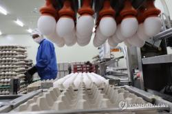 농식품부, 조류인플루엔자 경보 '관심' 하향…'평시 방역' 전환