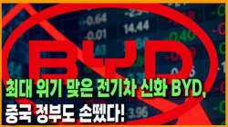 [중국관찰] 최대 위기 맞은 전기차 신화 BYD,  중국 정부도 손뗐다!