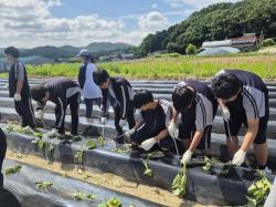 노성중학교, 상월초등학교, 산성리 마을이 함께하는   농사 체험 활동 및 마을 농업인 특강 실시