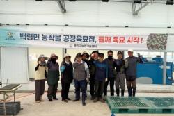 옹진군 백령면 농작물 공정육묘장, 들깨 육묘 시작