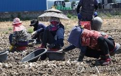  외국인 계절근로자 10년, 농촌 인력난 '숨통'…부작용도 속출,논산시는 총사업비 100억원을 투입해 '논산형 외국인 계절근로자 기숙사'를 건립