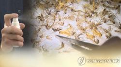 전국 말라리아 주의보 발령…유행지역 거주자 발열시 검사