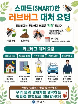 안양시, 러브버그 대발생 대비 ‘친환경 방제’로 선제적 대응