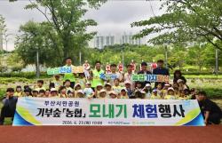 부산시민공원 텃논에 심은 ‘풍년의 꿈’…도심 속 모내기 체험 인기