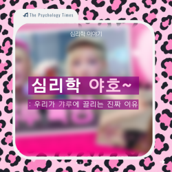 심리학 야호~