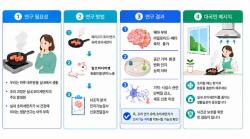 조리 중 발생한 초미세먼지, 뇌 건강 영향 가능성 확인…질병청 "환기 중요"