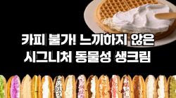 카페인중독, 남아공전 KBS 광고 집행