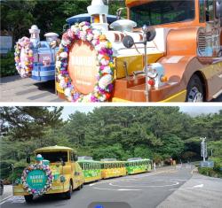 태종대 수국 절정… 부산 여름 대표 꽃축제 9일 개막