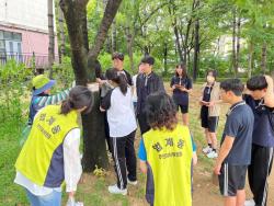 안양시 범계동, 범계중학교와 어린이공원 수목 표찰 달아