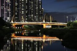 안양 비산대교, 화려한 빛으로 재탄생…노후 경관조명 전면 교체