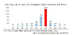 행정안전부, 여름 휴가철 해파리·폭염·식중독 사고 주의 당부