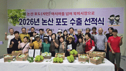 논산 포도(샤인머스캣), 아시아를 넘어 북미시장까지 확대   -유베리 포도수출선도조직 출범 후 첫 수출성과...25톤(20만불) 규모 수출-