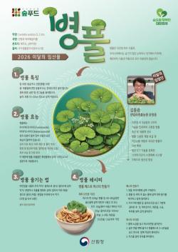 산림청, 7월 이달의 임산물로 피부 재생 돕는 `병풀` 선정
