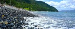 해수부, 8월의 수산물로 새우·장어류 등 5개 테마 선정