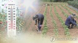 충북서 논·밭일하던 주민 3명 숨져…온열질환 추정(종합)
