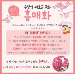 수영구, 구화 ‘홍매화’로 변경 공포