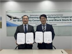 사라진 ‘먹황새’ 다시 우리 하늘로… 국립생태원, 몽골과 복원 본격화