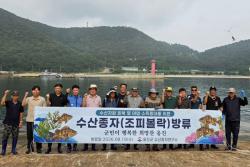 옹진군 수산종자연구, 소어린 조피볼락 35만 마리 방류